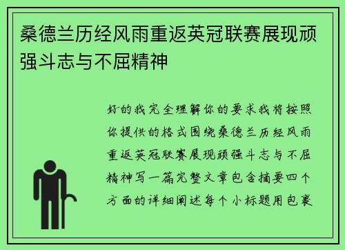 桑德兰历经风雨重返英冠联赛展现顽强斗志与不屈精神